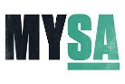 mysanantonio.com digital advertising