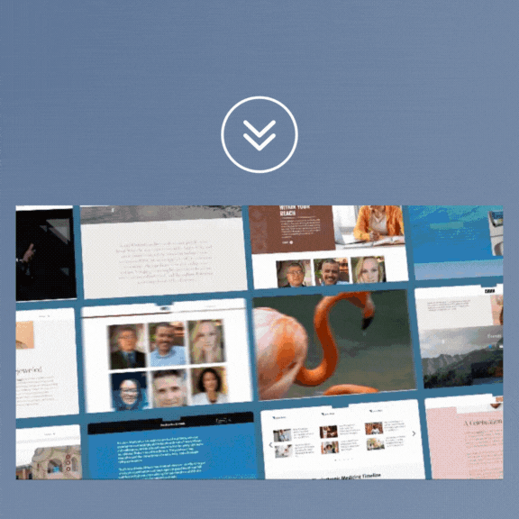 travel brand here (1)